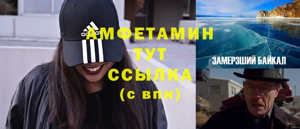 гидра Алексеевка
