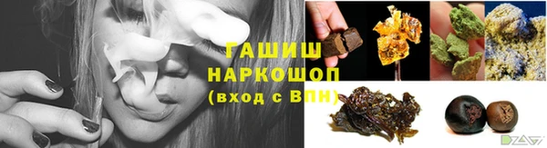 гидра Алексеевка