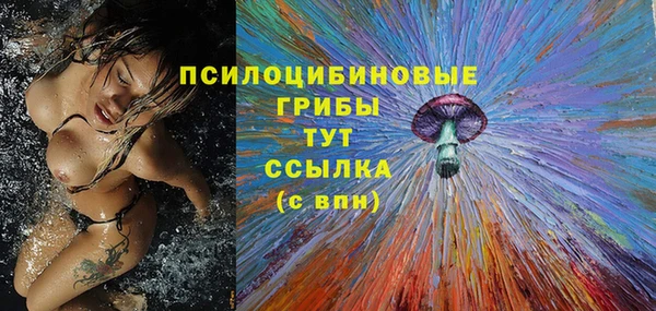 стафф Алзамай