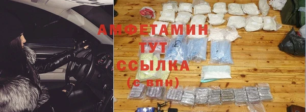 стафф Алзамай