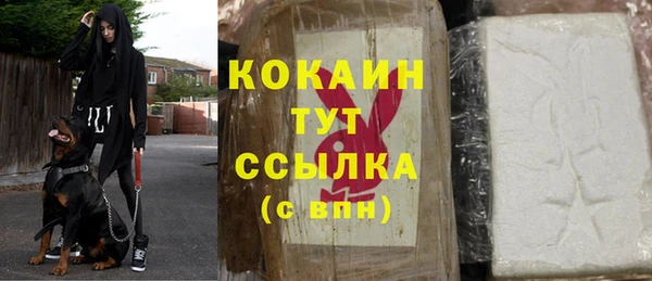 стафф Алзамай