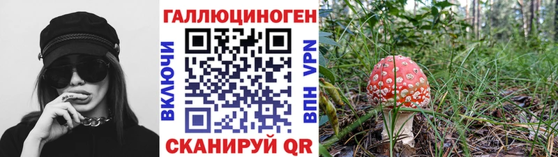Псилоцибиновые грибы Cubensis  цена   Заполярный 